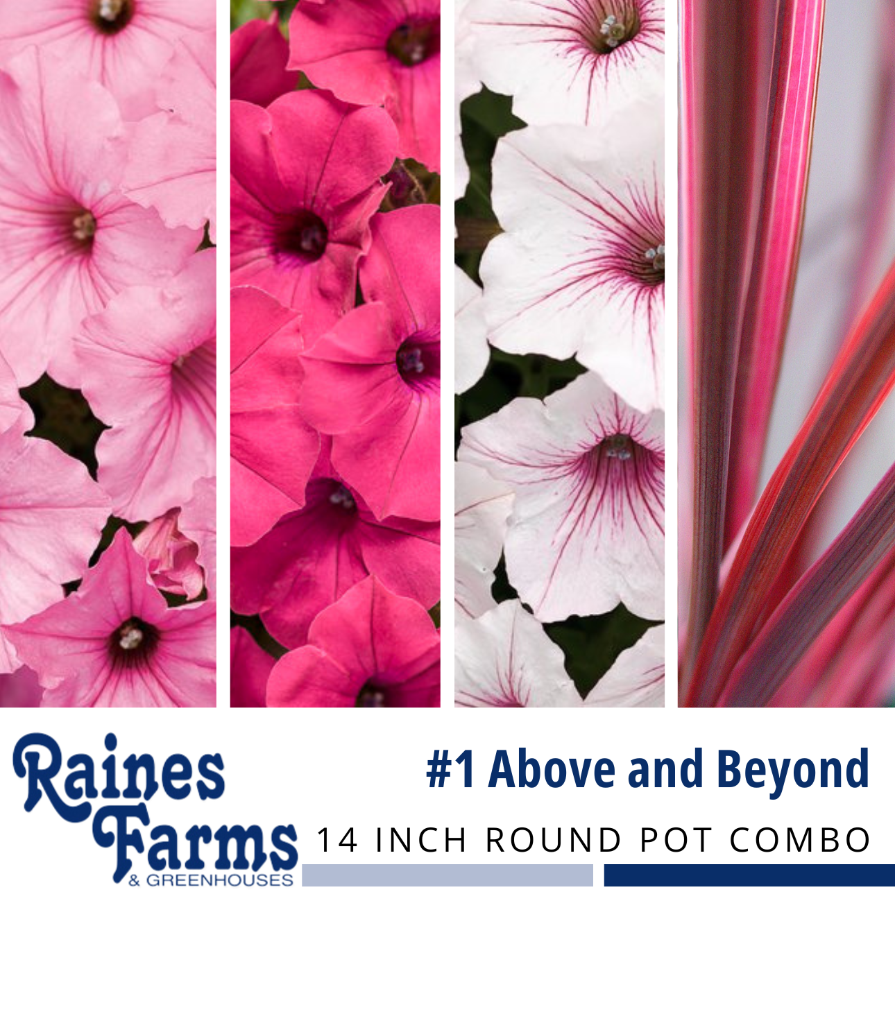 #1: Above and Beyond 14 Inch Round Pot Combo